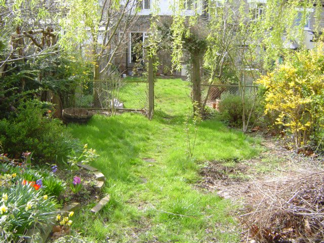 Chingford Garden design - before shot