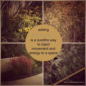 Adding grasses creates energy and rhythm