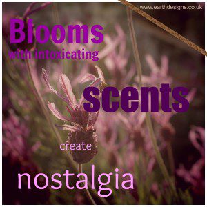 Scented flowers create nostalgia