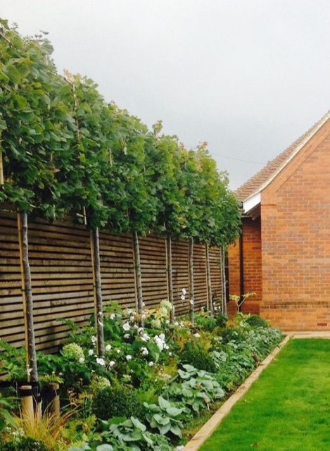 Leigh-on-Sea landscaper needed for garden design privacy