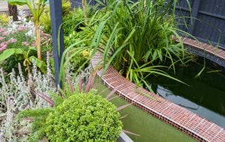 carp pond John & Ant - Essex Urban Garden Design