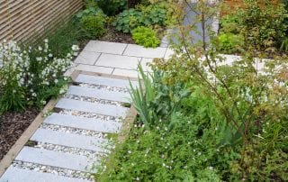 green and white planting ED286 - Sanctuary Garden Design in London