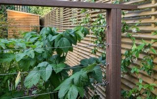 stainless steel tension wire rails ED286 - Sanctuary Garden Design in London
