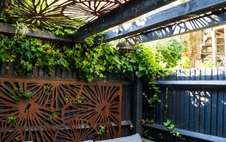 Garden black steel pergola